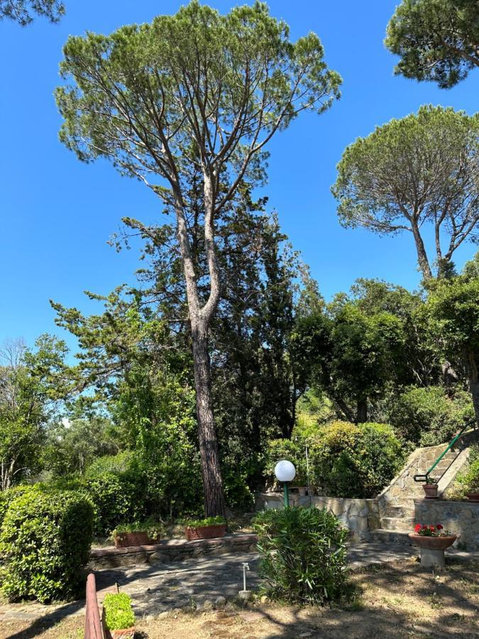 Appartamenti Portiglioni-Belvedere 普林托迪斯卡利诺 外观 照片